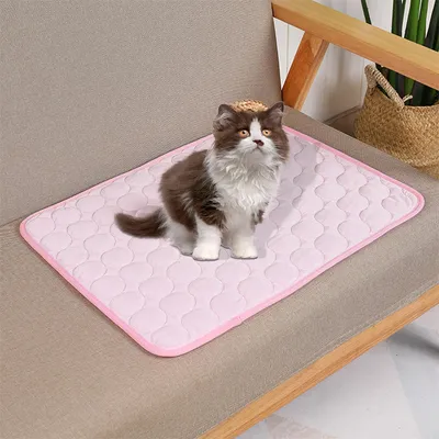 IntiMeg Tapis rafraichissant pour chien et chat