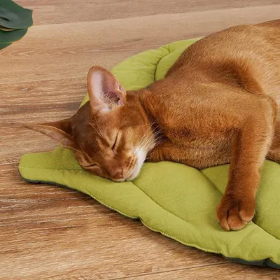 UAMLY Katzenmatte mit Blättermotiv für vier Jahreszeiten