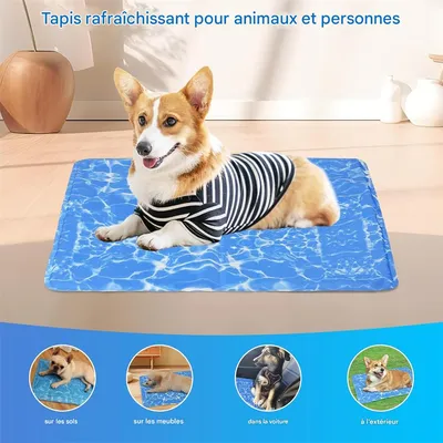 IntiMeg Tapis de refroidissement pour chien