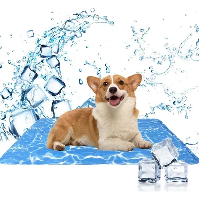 IntiMeg Tapis de refroidissement pour chien