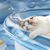 Pet Planet Tapis rafraîchissant pour chats et chiens