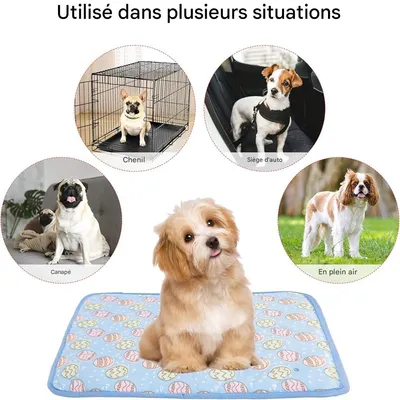 IntiMeg Tapis de refroidissement pour chat en chien