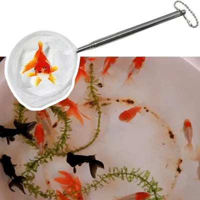 Petopia Filet de pêche portable 3D