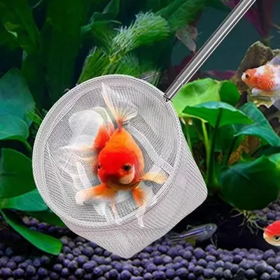 Petopia Filet de pêche portable 3D