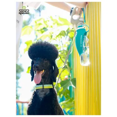 Petopia Bouteille portable d'eau pour chien