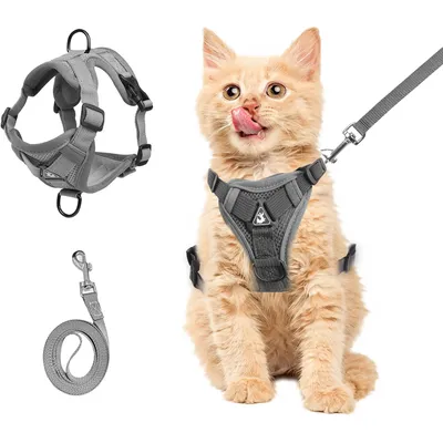 UAMLY Harnais de poitrine et laisse pour chat