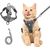 UAMLY Harnais de poitrine et laisse pour chat