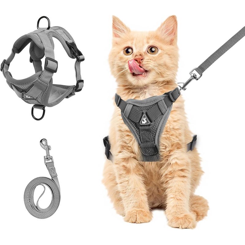 UAMLY Harnais de poitrine et laisse pour chat