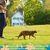UAMLY Ensemble Harnais et Laisse pour Chat