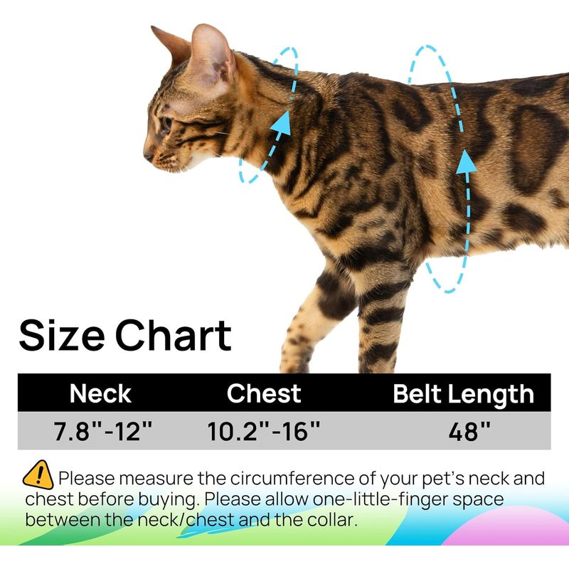 UAMLY Ensemble Harnais et Laisse pour Chat