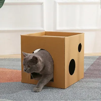 UAMLY Maison pour chat avec deux griffoirs