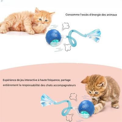 IntiMeg Jouet interactif en balle pour chat d'intérieur