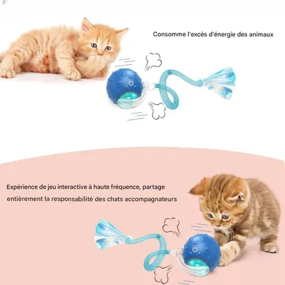 IntiMeg Jouet interactif en balle pour chat d'intérieur
