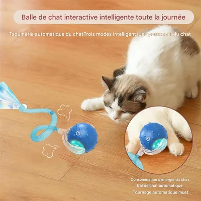 IntiMeg Jouet interactif en balle pour chat d'intérieur