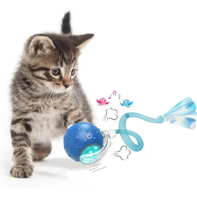 IntiMeg Jouet interactif en balle pour chat d'intérieur IntiMeg Jouet interactif en balle pour chat d'intérieur