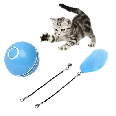 Pet Planet Balle électronique pour chat avec laser et accessoires