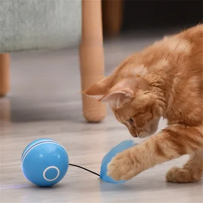 Pet Planet Balle électronique pour chat avec laser et accessoires