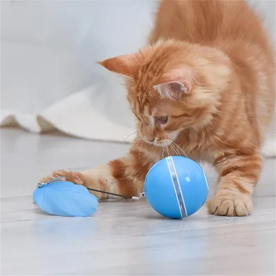 Pet Planet Balle électronique pour chat avec laser et accessoires