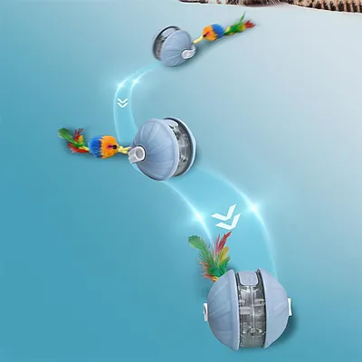 IntiMeg Balle interactive pour chat