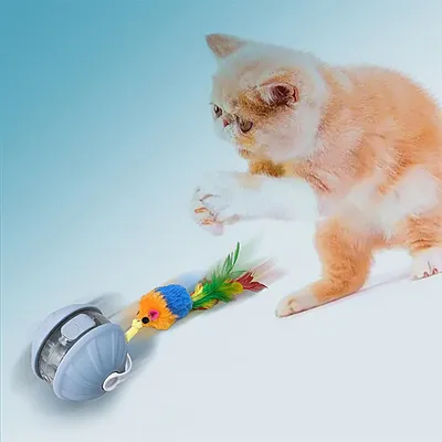 IntiMeg Balle interactive pour chat