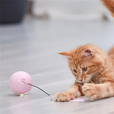 Pet Planet Balle électronique pour chat avec laser et accessoires