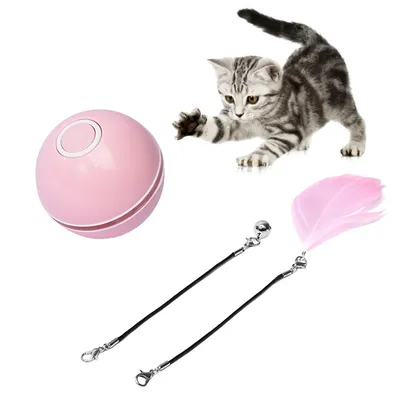 Pet Planet Balle électronique pour chat avec laser et accessoires