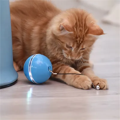 Pet Planet Balle électronique pour chat avec laser et accessoires