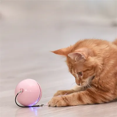 Pet Planet Balle électronique pour chat avec laser et accessoires