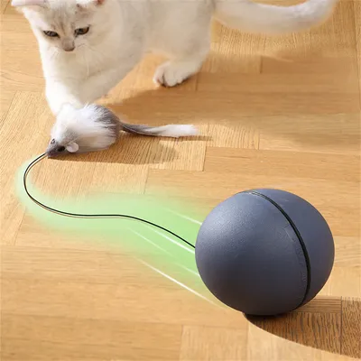 Pet Planet Balle électronique de jeu pour chat