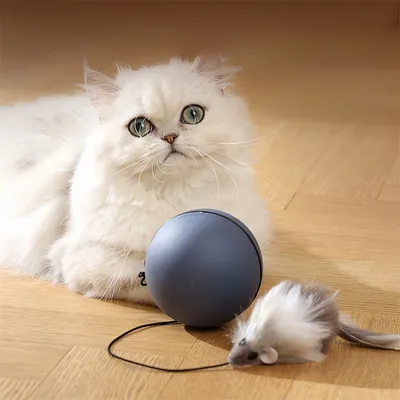 Pet Planet Balle électronique de jeu pour chat