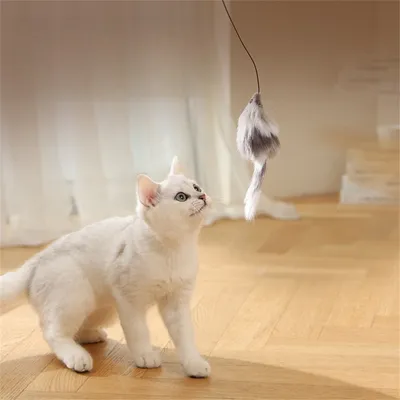 Pet Planet Balle électronique de jeu pour chat