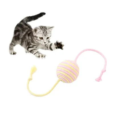 Pet Planet Balle de jeu en sisal pour chat Pet Planet Balle de jeu en sisal pour chat