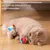 IntiMeg Jouet interactif en balle pour chat d'intérieur