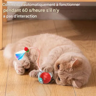 IntiMeg Jouet interactif en balle pour chat d'intérieur