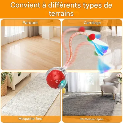 IntiMeg Jouet interactif en balle pour chat d'intérieur