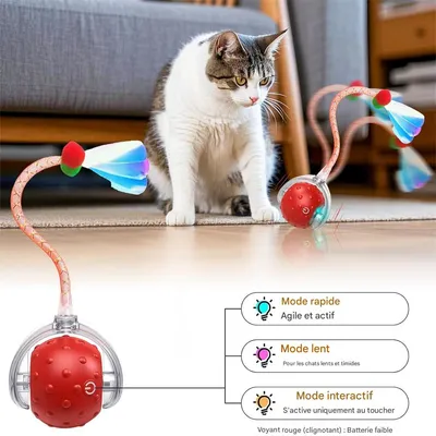 IntiMeg Jouet interactif en balle pour chat d'intérieur