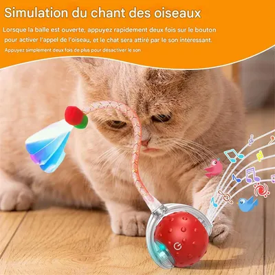 IntiMeg Jouet interactif en balle pour chat d'intérieur