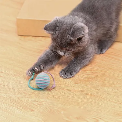 Pet Planet Balle de jeu en sisal pour chat