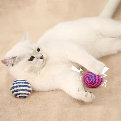 Pet Planet Balle de jeu en sisal pour chat