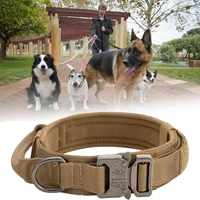 Petopia Collier tactique pour chien