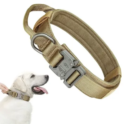 Petopia Collier tactique pour chien