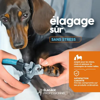 Petopia Coupe - ongles pour chien et chat