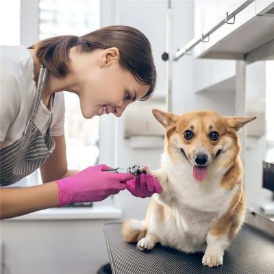 Petopia Ciseaux à ongles pour chat et petit animal