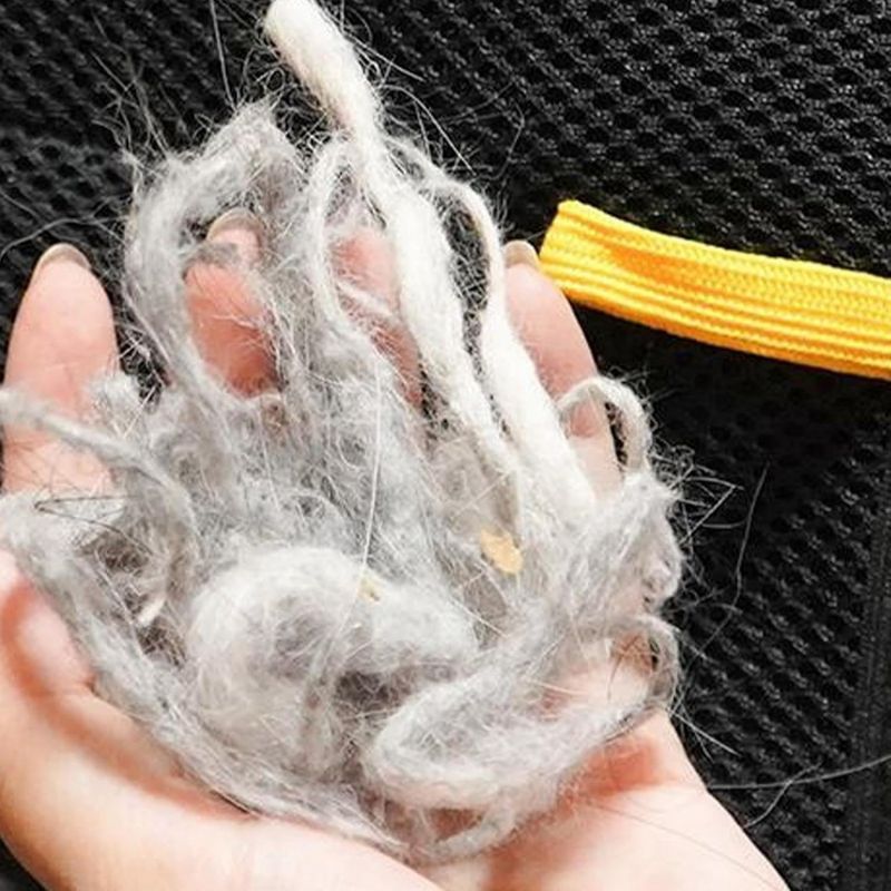 Petopia Gants de toilette pour animal de compagnie