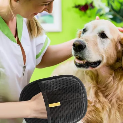 Petopia Gants de toilette pour animal de compagnie