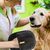Petopia Gants de toilette pour animal de compagnie