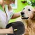 Petopia Gants de toilette pour animal de compagnie