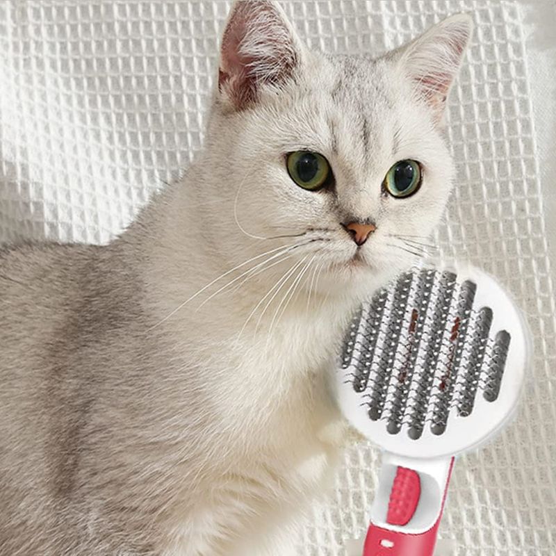IntiMeg Brosse autonettoyante pour chien et chat