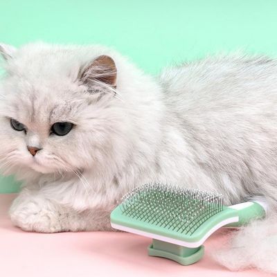 Petopia Brosse autonettoyante pour et chats