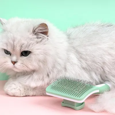 Petopia Brosse autonettoyante pour et chats